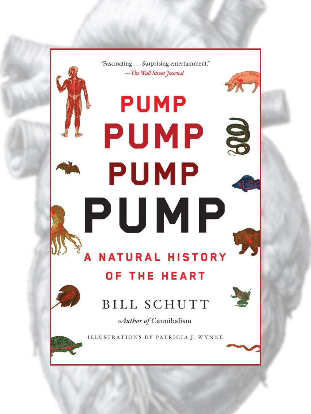 PUMP: A Natural History of the Heart