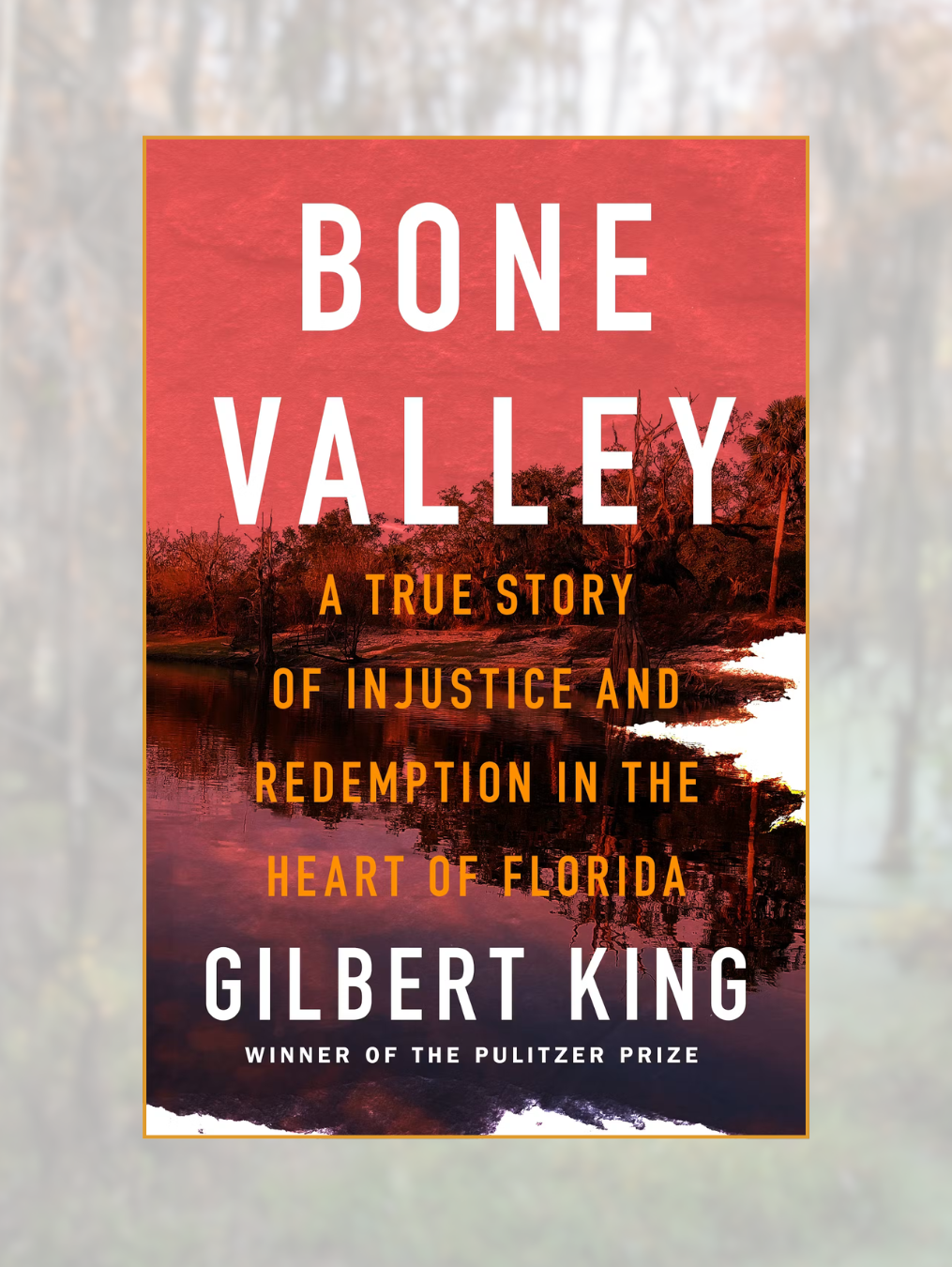 BONE VALLEY: A True Story of Injustice and Redemption in the Heart of Florida
