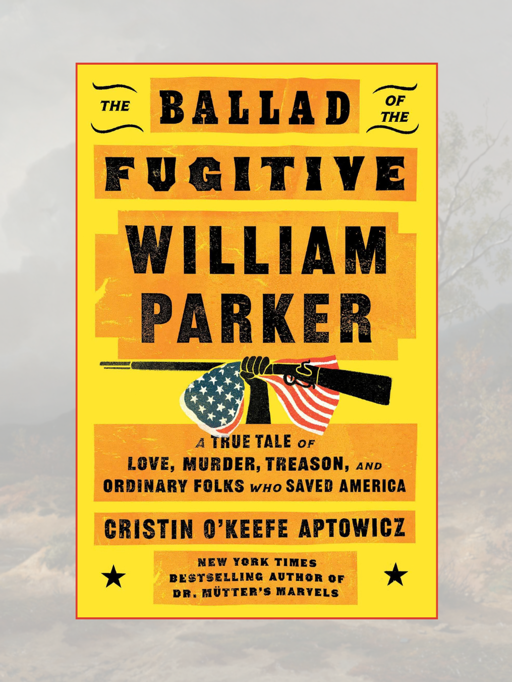 THE BALLAD OF THE FUGITIVE WILLIAM PARKER: A True Tale of Love, Murder, Treason, and Ordinary Folks Who Saved America