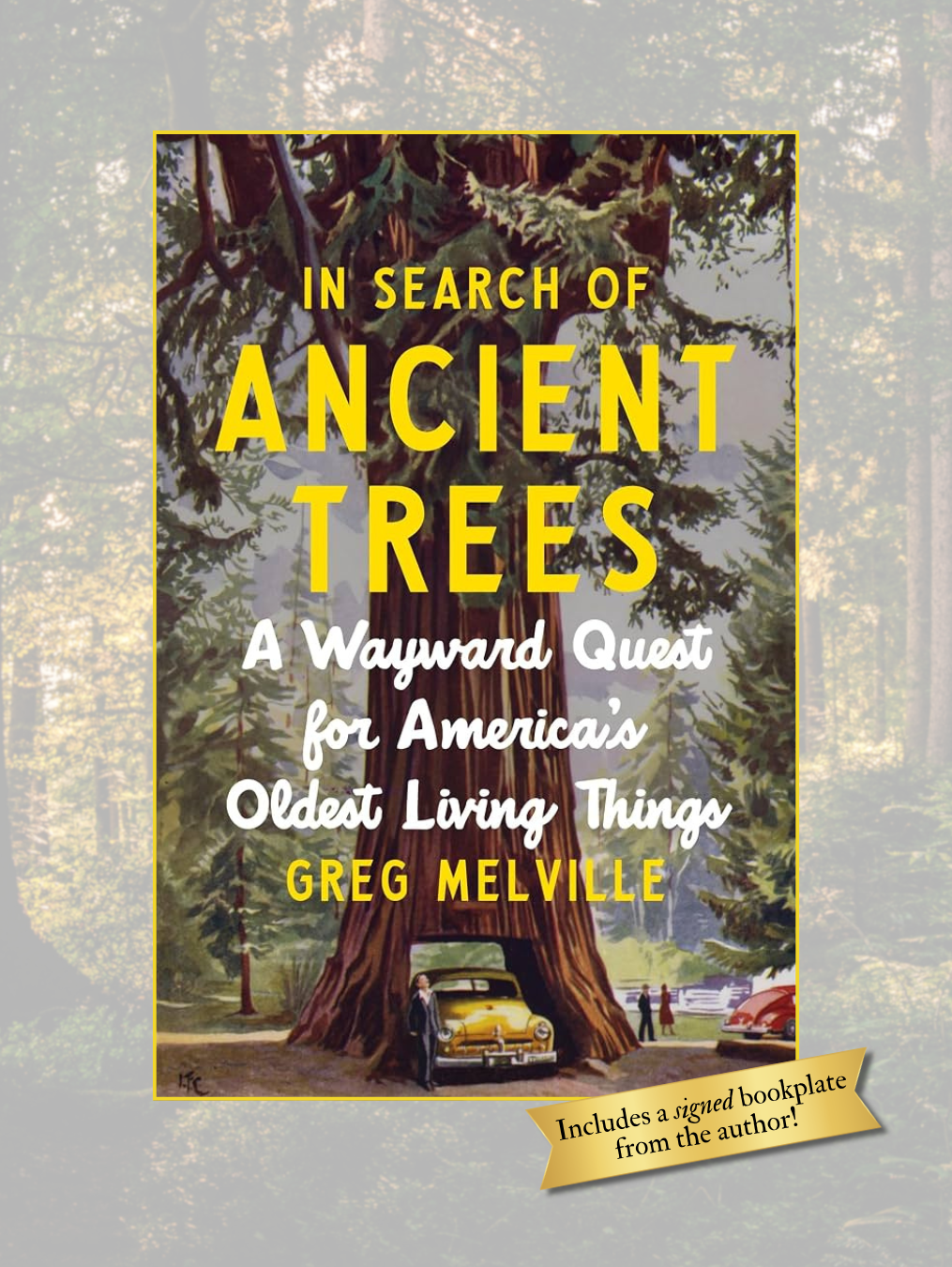 IN SEARCH OF ANCIENT TREES: A Wayward Quest for America's Oldest Living Things